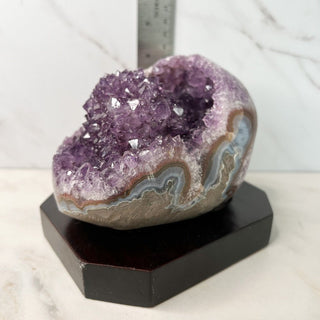 Amethyst Clusters on Wood Base - Specimen - only found at SARDA™