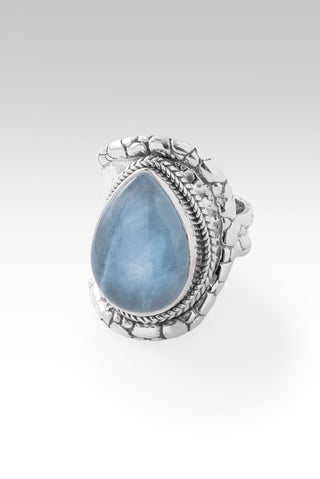 Blessed with Abundance Ring™ in Aquamarine - Dinner - only found at SARDA™