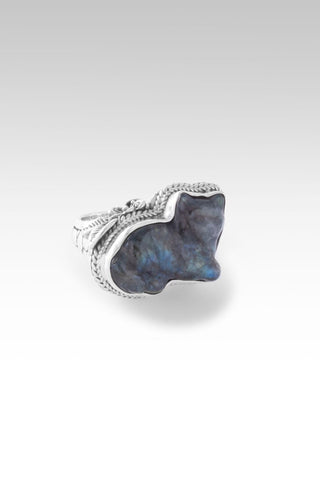 Boo Boo Kitty Ring™ in Labradorite & Black Stone Doublet - Statement - only found at SARDA™