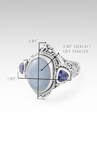 Hopeful Horizon Ring™ in Aquamarine - Dinner - only found at SARDA™