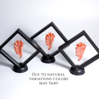 Peach Quartz Leaf In 3D Floating Display Case - Specimen - only found at SARDA™