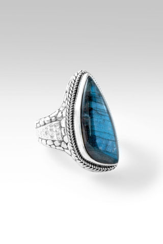 Promise Never Ends Ring™ in Labradorite - Dinner - only found at SARDA™