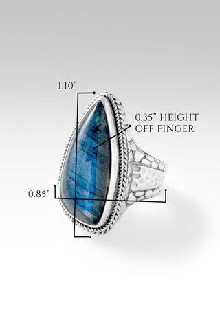 Promise Never Ends Ring™ in Labradorite - Dinner - only found at SARDA™