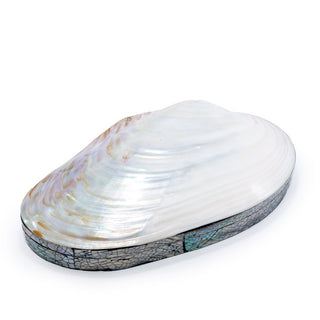 Seashell Trinket Box - Lifestyle - only found at SARDA™